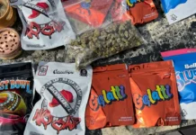 Introduction: NYC’s Changing Cannabis Market